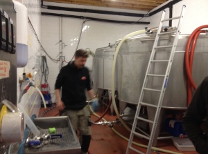 Their wide, shallow fermenters